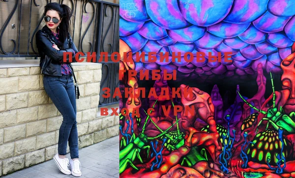 стафф Нязепетровск