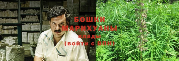 бошки Няндома