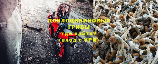 бошки Няндома