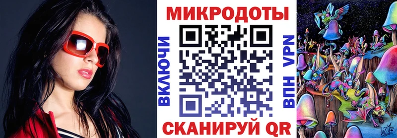 Галлюциногенные грибы Psilocybine cubensis  Приволжск 